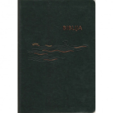 Biblija kanoninė žalia